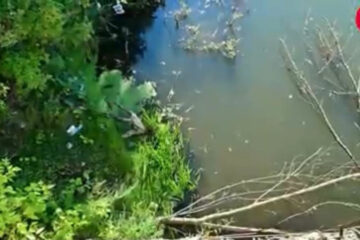 При всем своем загрязнении она впадает в городское водохранилище.