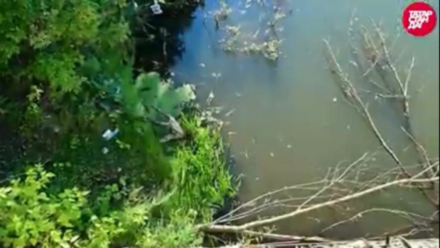 При всем своем загрязнении она впадает в городское водохранилище.