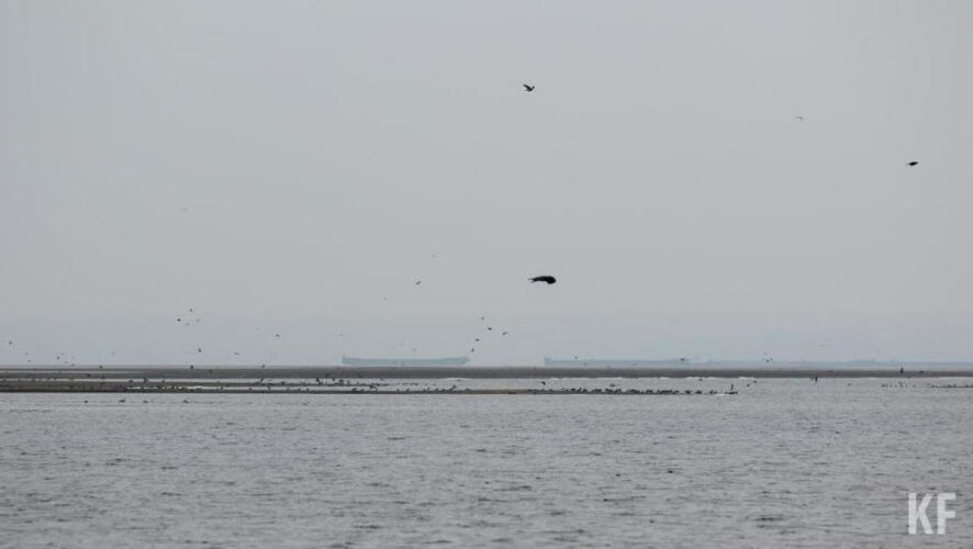 Последний день работы переправы - 30 ноября