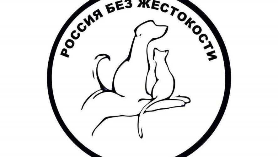 В субботу 5 октября на улице Баумана соберутся зоозащитники. Столица Татарстана станет одним из десятков городов мира