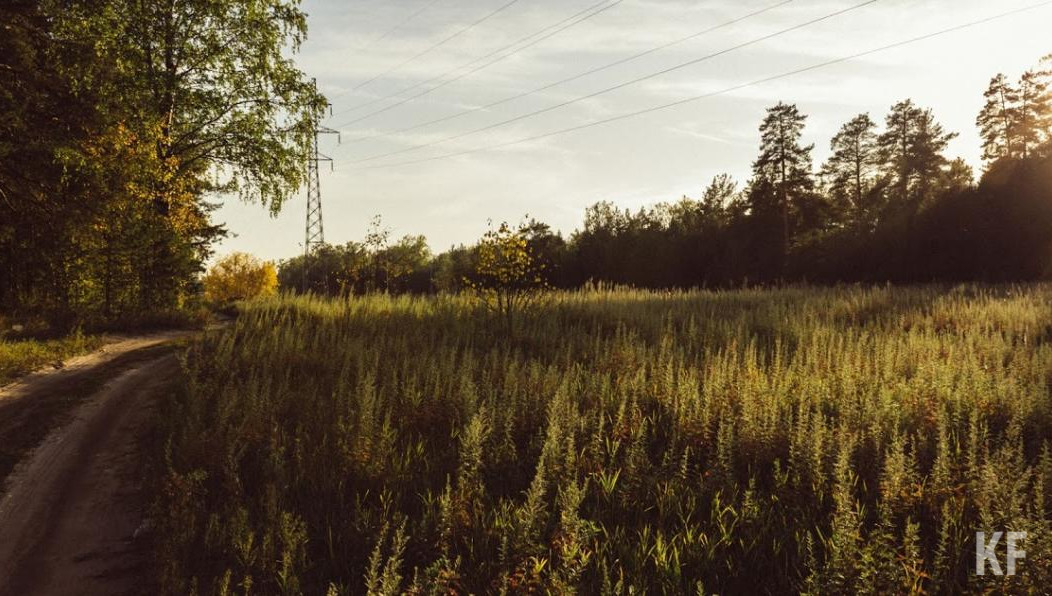 Удары частью разбитой бутылки пришлись на глаз и шею.