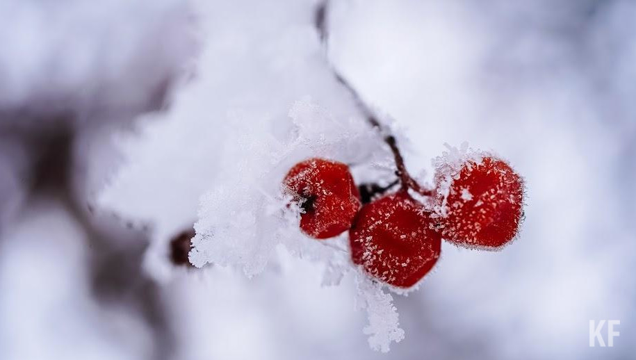 Средняя температура декады месяца составит -6
