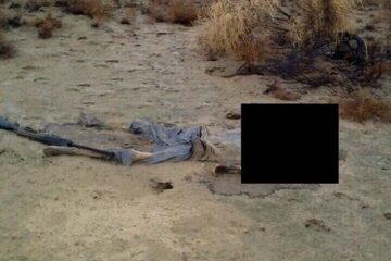 Скелет мужчины нашел накануне прохожий в 500 м от пляжа «Шинник» в Нижнекамске