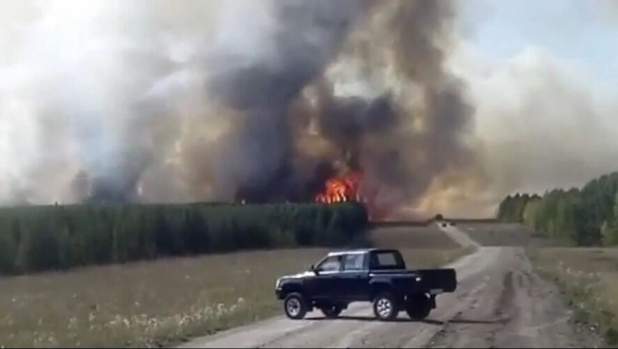 Они пылают возле села Старое Суркино.