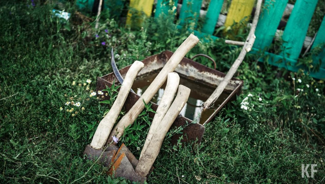 От навоза лучше избавиться