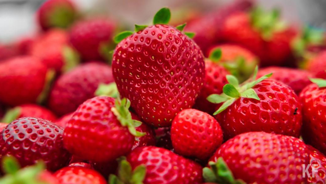 Новые правила начнут действовать с 1 сентября следующего года.