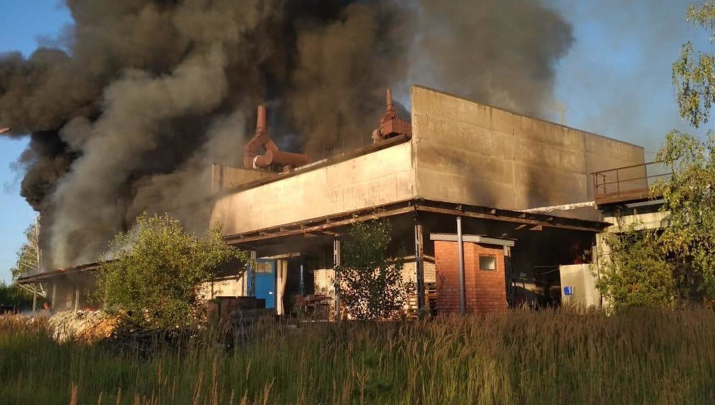 Эксперты Минэкологии Татарстана исследуют их на наличие загрязняющих веществ.