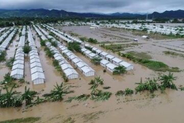 ​34 человека стали жертвами тропического шторма «Кай-Так» на Филиппинах