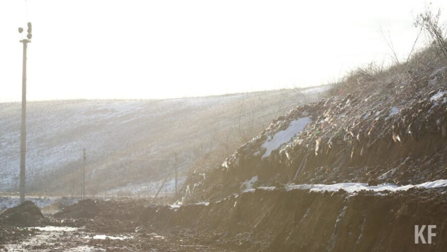 Проект должен быть готов к сентябрю следующего года.