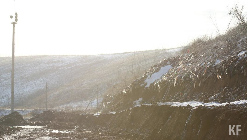 Проект должен быть готов к сентябрю следующего года.