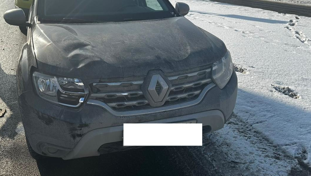 Ребенок пытался перебежать дорогу на красный свет.