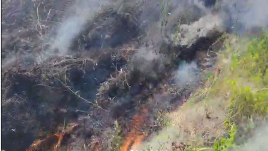 Местные жители бросились тушить пламя еще до приезда пожарных.