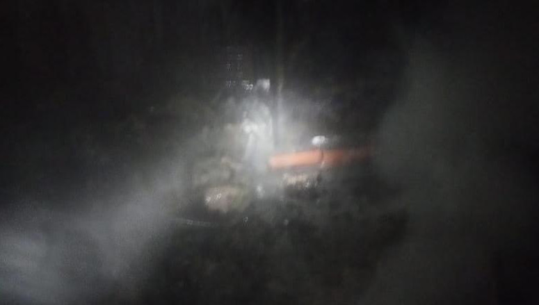 Питомник работал незаконно.