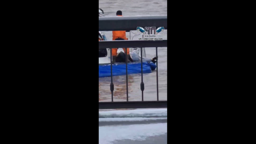 При ней не было никаких документов.