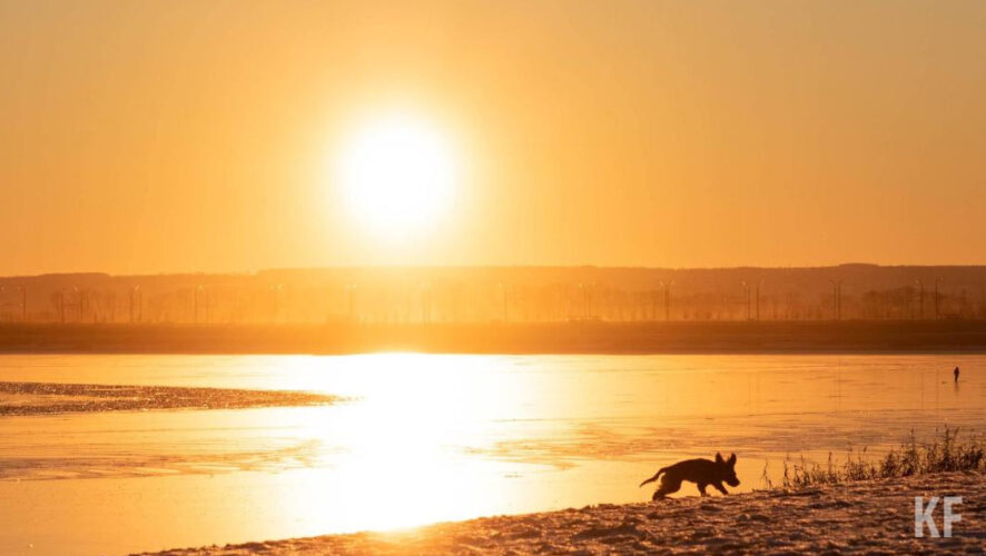 К таким выводам пришли ученые.