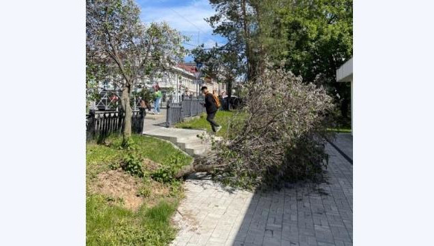 Очевидец считает