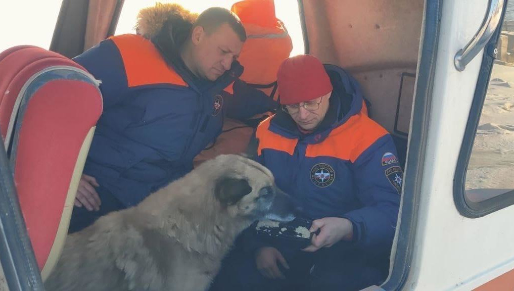 Спасатели сделали несколько лунок