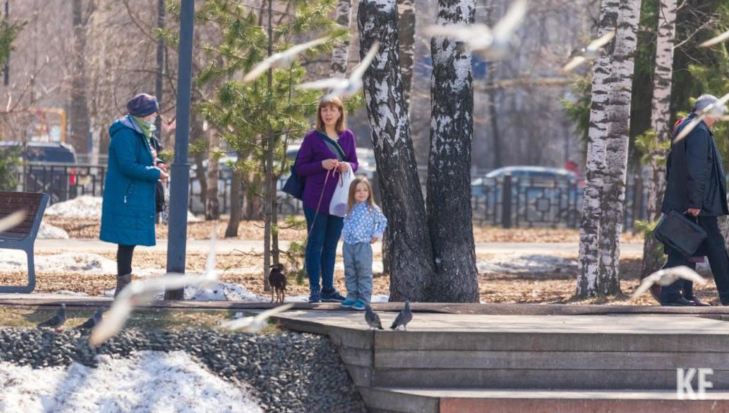 С весны этого года в столице Татарстана активисты очистили 119 километров берегов водоемов и собрали около тысячи кубометров мусора.
