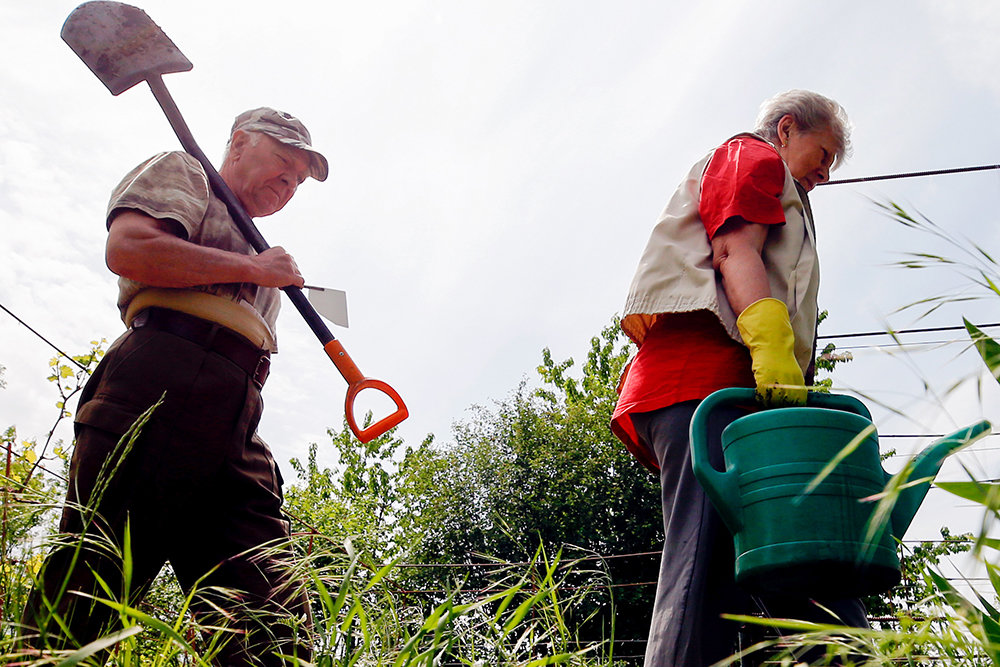 что массу проблем создаёт противоречивый факт: земли садоводов имеют статус сельхозназначения