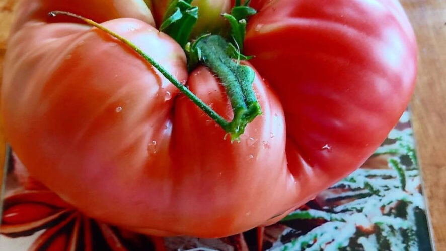 У садовода-любителя есть свои секреты.