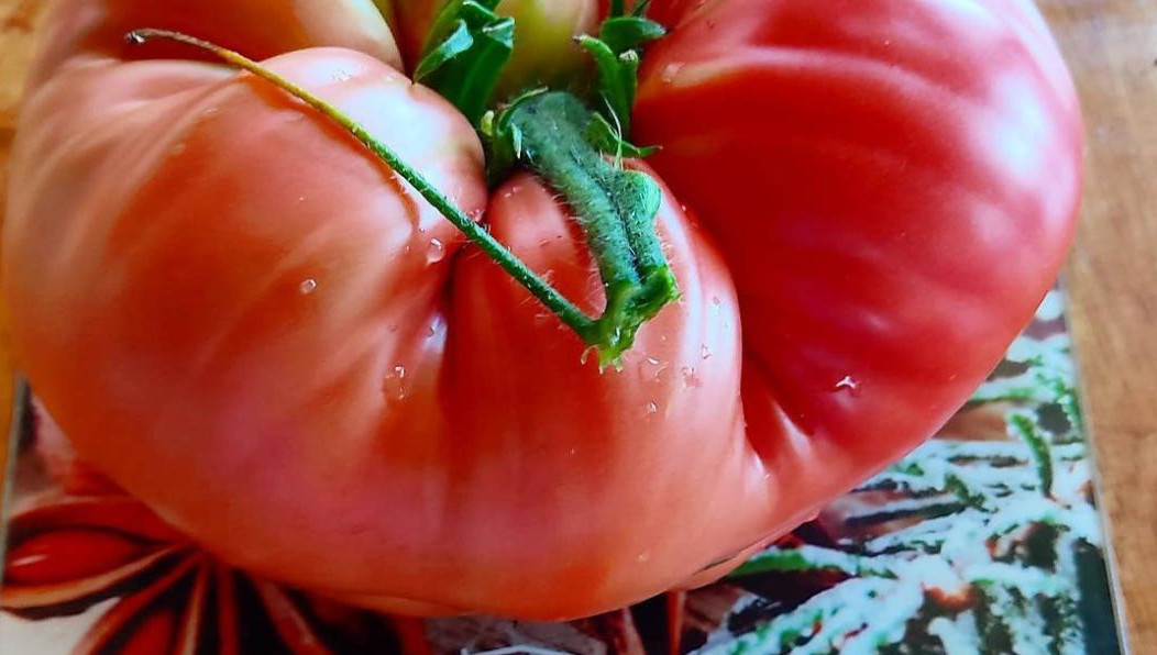 У садовода-любителя есть свои секреты.