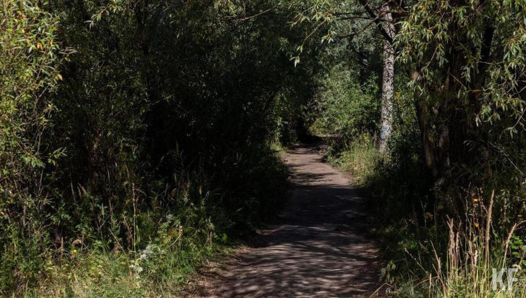 В министерстве лесного хозяйства республики связывают ситуацию с теплой и снежной зимой.