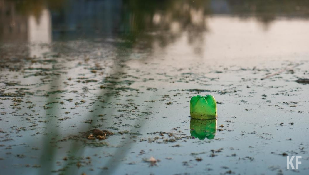 Химическая экспертиза водоема будет проведена в ближайшее время.