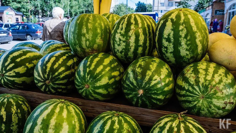 Маргарита Королева подчеркнула