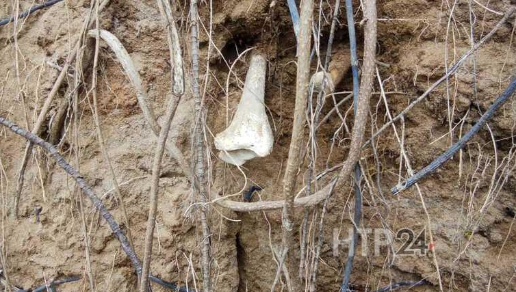 После таяния снега и обильных дождей размывает старое кладбище.