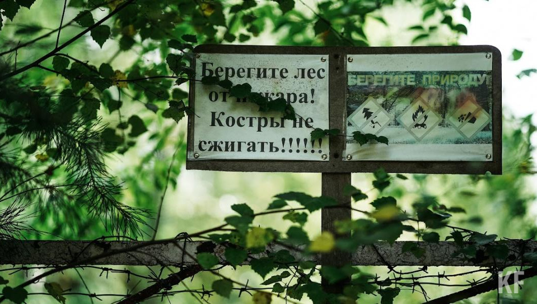 В этом году в республике было составлено всего 4 протокола на 102 тысячи рублей.