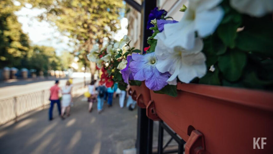 Всего высадят три миллиона цветов.