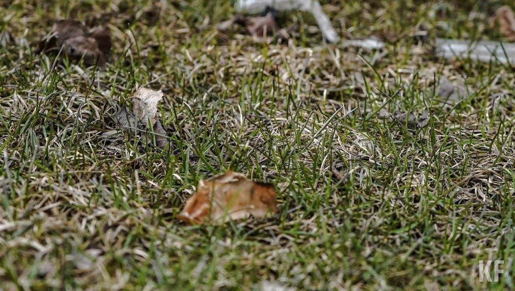 Обработки проводятся на кладбищах