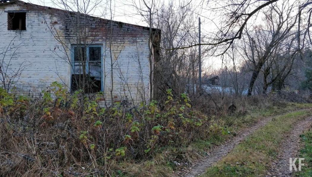 Прокуратура требует плантацию ликвидировать.