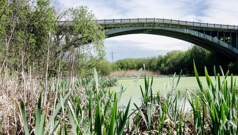 Горожане не поддержали идею о демонтаже знаменитой конструкции в Кировском районе. За большие деньги