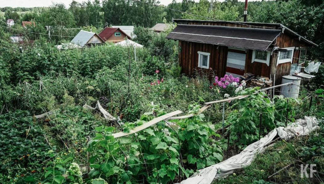 По ее словам