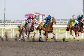 В программу включены скачки для лошадей татарской