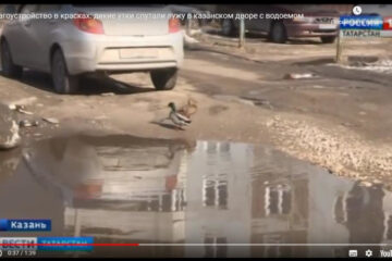 Из-за забитых ливневок двор дома по улице Четаева полностью залило талой водой.