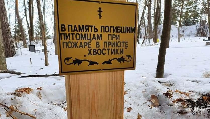 Тогда угорели более 40 котов и кошек и одна собака.