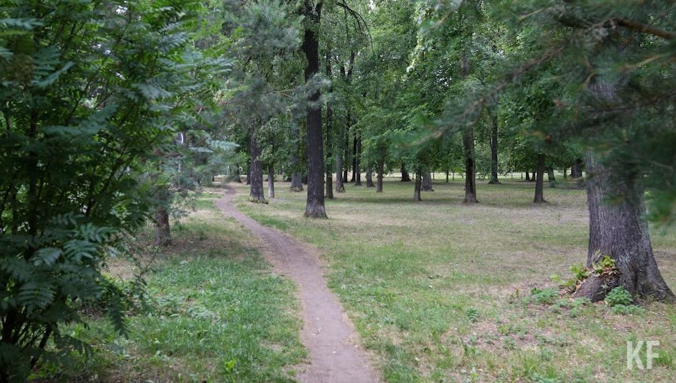 В республике риск возгораний сохранится с 24 июня по 3 июля.
