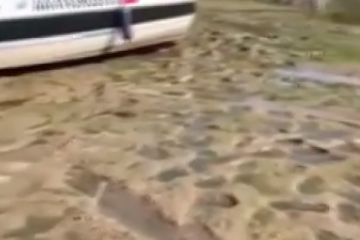 На лодочной станции катера буквально стоят на песке.