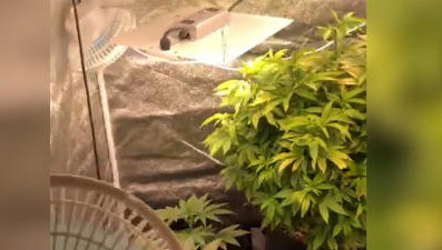 У мужчины конфисковали более 2 кг запрещенных предметов.