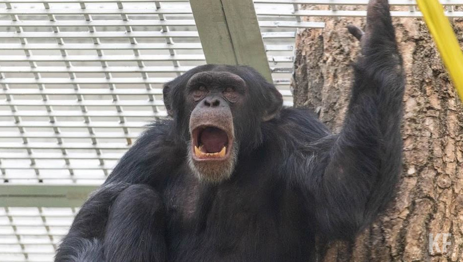 Цены остались без изменений.