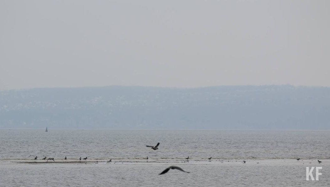 Ветер ожидается юго-восточный.