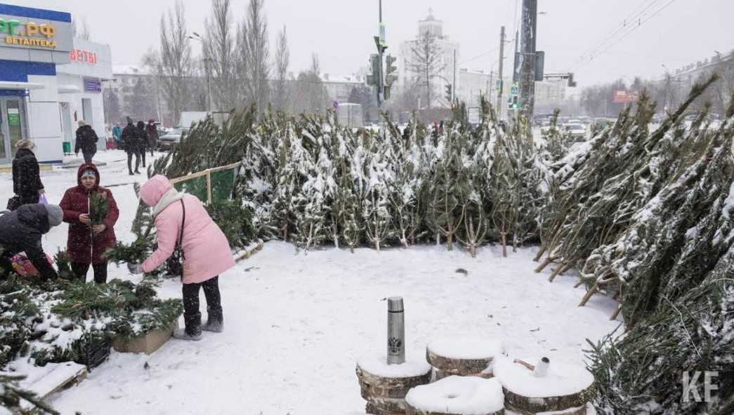 Выброшенная на свалку искусственная елка разлагается около 200 лет