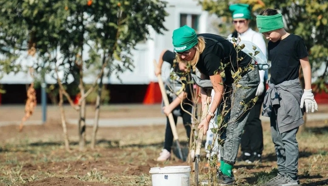 За два года в городе посадили более полумиллиона деревьев.