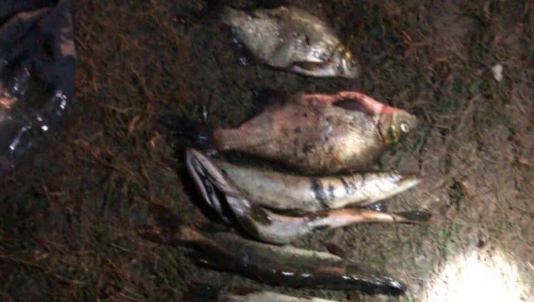 Возбуждено уголовное дело.