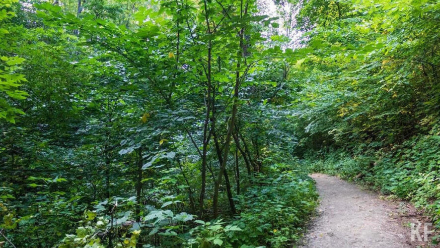 Собираться начнут 24 апреля в 11:00.