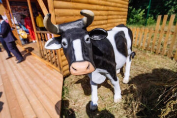 В компании пообещали поставить в Казахстан более 1000 коров герефордской породы.