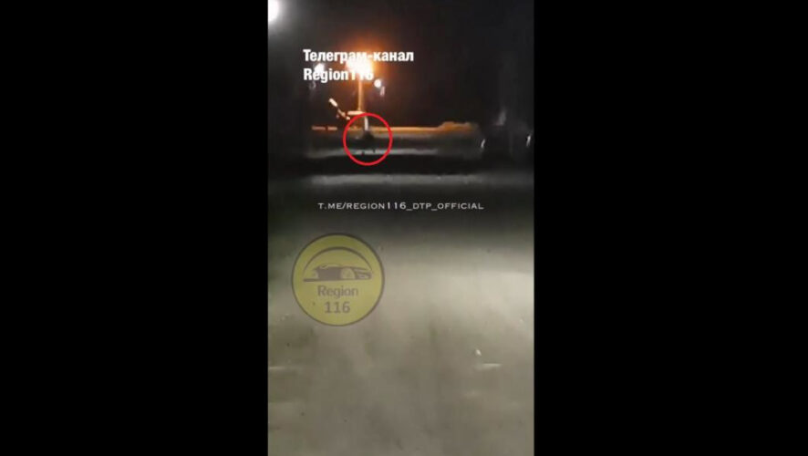 Оно очень похоже на примата: может бежать на двух ногах