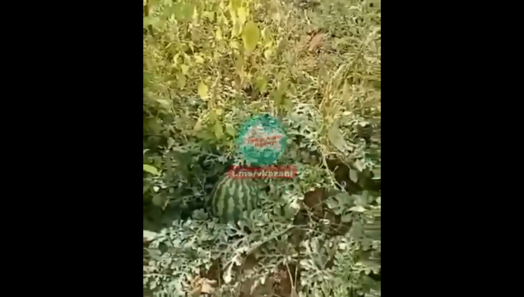 Случай произошел в селе Сатышево Сабинского района.